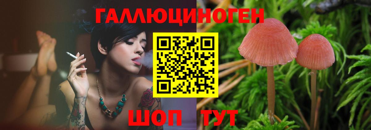 Псилоцибиновые грибы GOLDEN TEACHER  Вход с VPN  Галлюциногенные грибы Psilocybine cubensis  Азов 